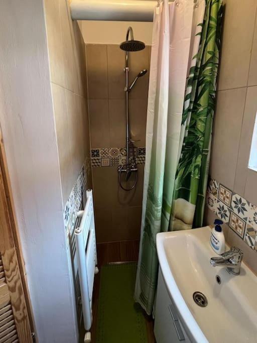 In Inima Clujului Appartement *